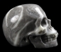 Preview: Fossil Stone Skull